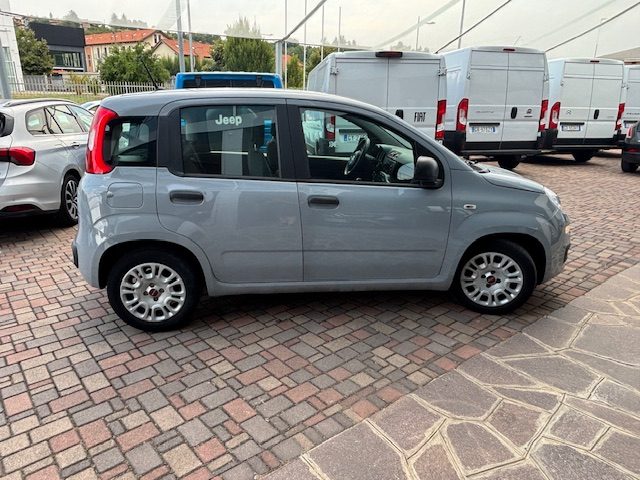 Fiat Panda 1.0 FireFly S&S Hybrid - foto 4 di 4