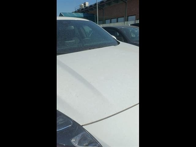 Ford Kuga 1.5 EcoBlue 120cv ST-Line X 2WD Auto - foto 2 di 4