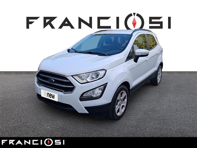 Ford EcoSport 1.5 EcoBlue Business S&S my19 usato a MIRANDOLA