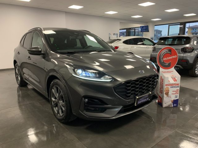 Ford Kuga 2.0 Diesel Automatico ST-Line X StraFull 2WD usato a QUALIANO