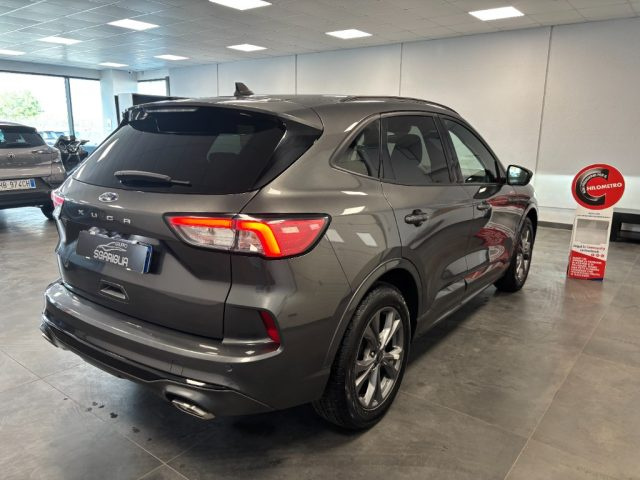 Ford Kuga 1.5 Benzina ST-Line 2WD - foto 4 di 4