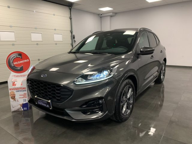 Ford Kuga 2.0 Diesel Automatico ST-Line X StraFull 2WD - foto 3 di 4