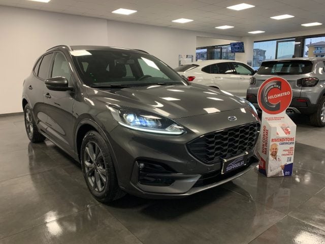 Ford Kuga 2.0 Diesel Automatico ST-Line X StraFull 2WD usato a QUALIANO