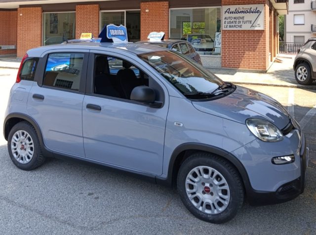 Fiat Panda 1.0 FireFly S&S Hybrid NOBOLLO FINO A GENNAIO 2028 - foto 4 di 4
