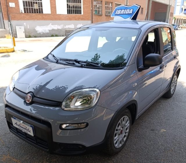 Fiat Panda 1.0 FireFly S&S Hybrid NOBOLLO FINO A GENNAIO 2028 usato a SANTO STEFANO BELBO