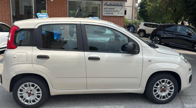 Fiat Panda 1.2 FIRE 70 CV EASY 5 POSTI - foto 3 di 4