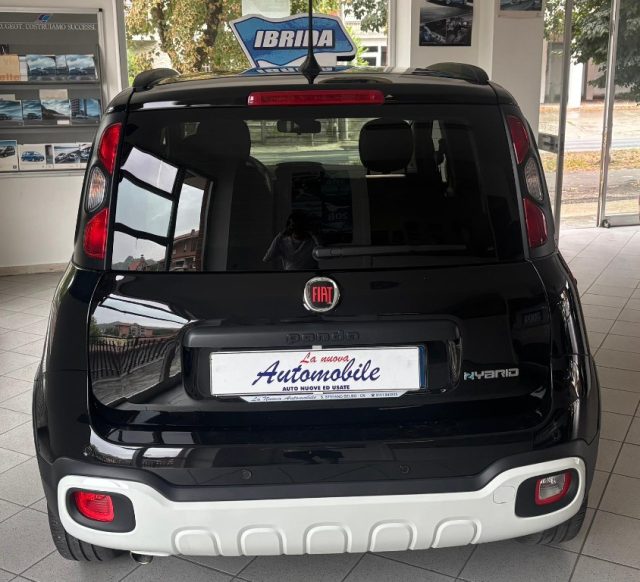 Fiat Panda Cross 1.0 FireFly S&S Hybrid 5 POSTI CROSS - foto 4 di 4