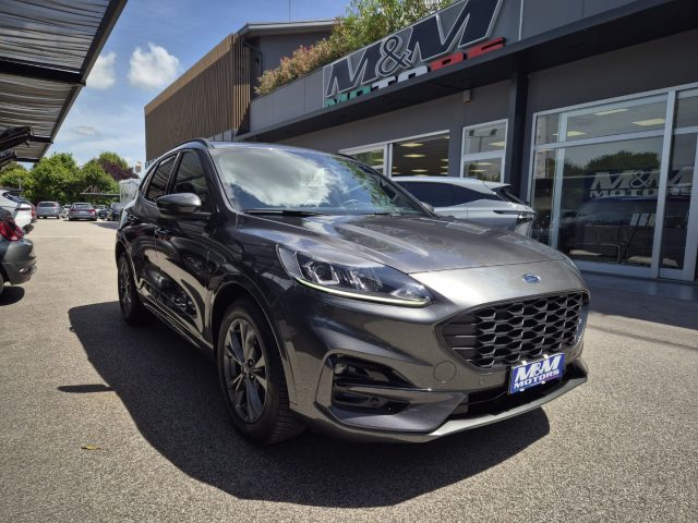 Ford Kuga 2.0 EcoBlue 120 CV aut. 2WD ST-Line #VARI COLORI usato a MARTELLAGO