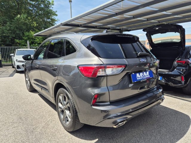 Ford Kuga 2.0 EcoBlue 120 CV aut. 2WD ST-Line #VARI COLORI, del 2024, 21.500 km, in vendita a Martellago (VE)