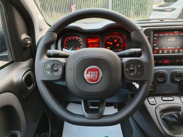 Fiat Panda Cross 1.0 70cv S&S Hybrid CROSS #VARI COLORI, del 2024, 21.000 km, in vendita a Martellago (VE)