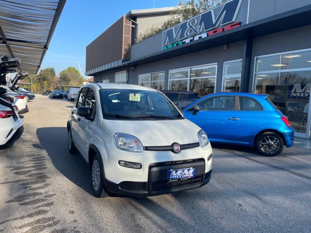Fiat Panda 1.0 FireFly S&S Hybrid #VARI COLORI usato a MARTELLAGO