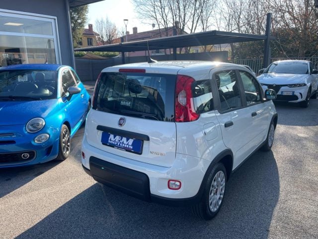 Fiat Panda 1.0 FireFly S&S Hybrid #VARI COLORI - foto 4 di 13