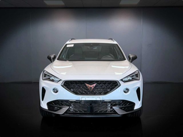 CUPRA Formentor 2.0 TDI 150CV 4Drive DSG #VARI COLORI - foto 3 di 4
