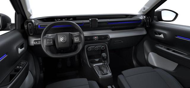 Citroen C3 PureTech 100 S&S YOU+PLUS+BUSINESS+COLLECTION+MAX, 10 km, in vendita a Fara Gera D Adda (BG)