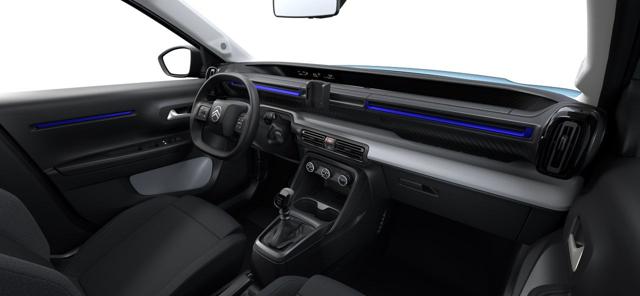 Citroen C3 PureTech 100 S&S YOU+PLUS+BUSINESS+COLLECTION+MAX, 10 km, in vendita a Fara Gera D Adda (BG)