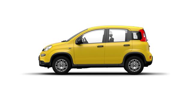Fiat Panda 1.0 FireFly S&S Hybrid POP+ICON+PANDINA - foto 3 di 10