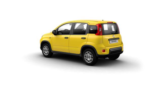 Fiat Panda 1.0 FireFly S&S Hybrid POP+ICON+PANDINA - foto 2 di 10