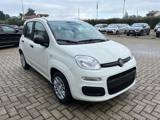 Fiat Pandina 1.0 FireFly 70 CV Hybrid Icon usato a CHIESINA UZZANESE