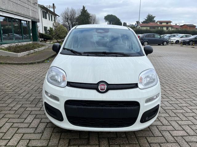 Fiat Pandina 1.0 FireFly 70 CV Hybrid Icon - foto 2 di 4