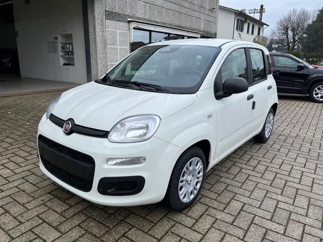 Fiat Pandina 1.0 FireFly 70 CV Hybrid Icon usato a CHIESINA UZZANESE