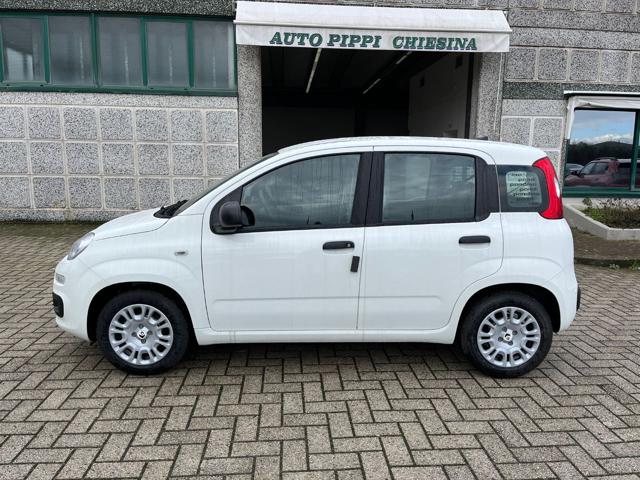 Fiat Pandina 1.0 FireFly 70 CV Hybrid Icon - foto 4 di 4