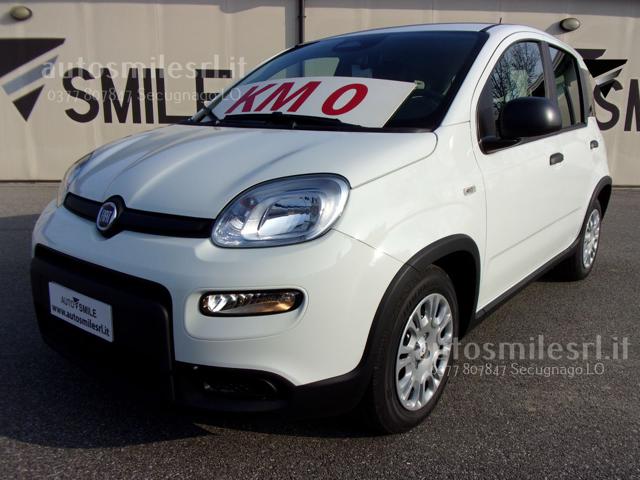 Fiat Panda 1.0 FireFly S&S Hybrid Pandina - foto 1 di 4