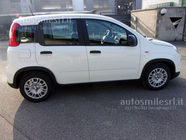 Fiat Panda 1.0 FireFly S&S Hybrid Pandina - foto 4 di 4