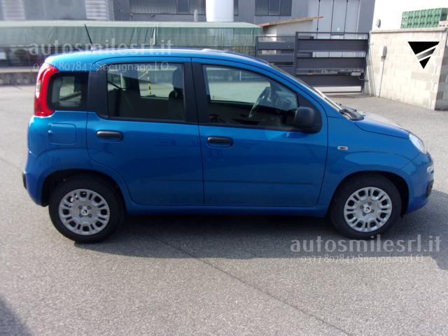 Fiat Panda 1.0 FireFly S&S Hybrid - foto 4 di 17