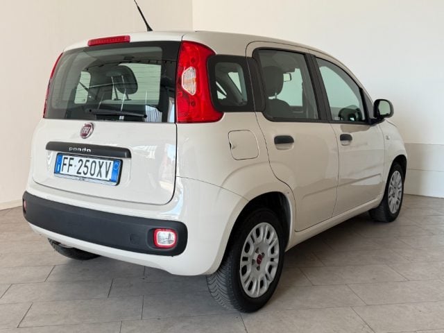 Fiat Panda 1.2 Pandazzurri - foto 4 di 4