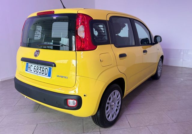 Fiat Pandina 1.0 FireFly 65 CV Hybrid Icon - foto 4 di 4