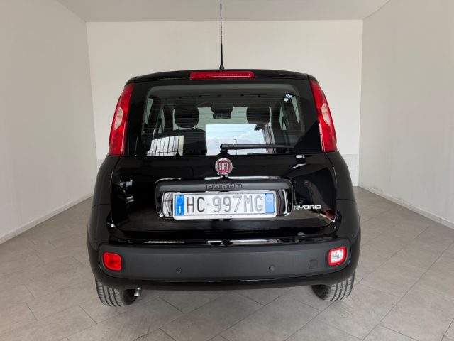 Fiat Pandina NUOVA PANDINA 1.0 HybRID - foto 3 di 4