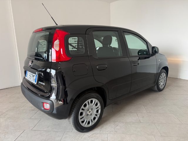 Fiat Pandina NUOVA PANDINA 1.0 HybRID - foto 4 di 4