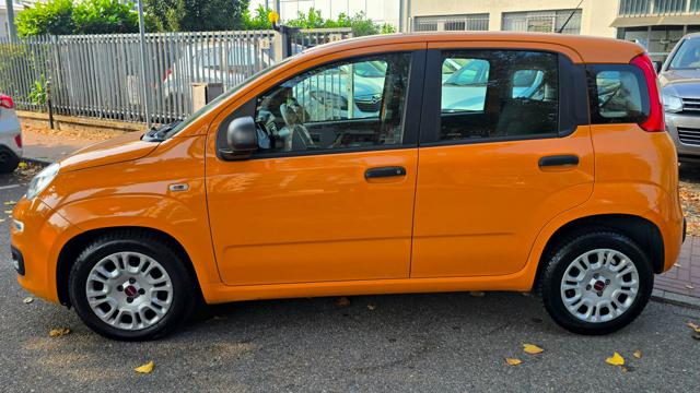 Fiat Panda 1.0 FireFly Hybrid S&S OK NEOPATENTATI - foto 3 di 4
