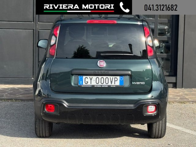 Fiat Panda 1.0 FireFly S&S Hybrid usato a DOLO