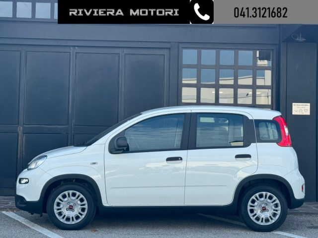 Fiat Panda PANDINA 1.0 Hybrid ICON - foto 3 di 4