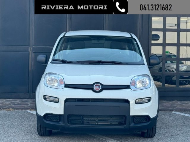 Fiat Panda PANDINA 1.0 Hybrid ICON - foto 2 di 4