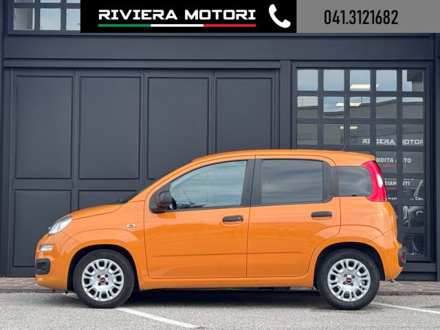 Fiat Panda 1.0 FireFly S&S Hybrid - foto 3 di 13