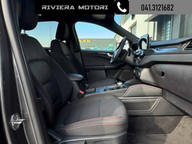 Ford Kuga 2.0 EcoBlue 120 CV aut. ST-Line, del 2024, 33.400 km, in vendita a Dolo (VE)