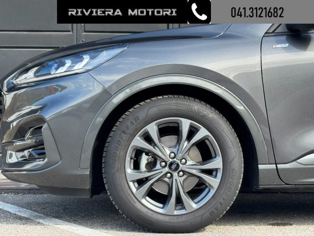 Ford Kuga 2.0 EcoBlue 120 CV aut. ST-Line, del 2024, 33.400 km, in vendita a Dolo (VE)