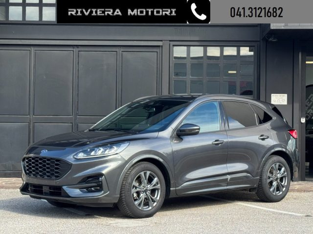 Ford Kuga 2.0 EcoBlue 120 CV aut. ST-Line usato a DOLO