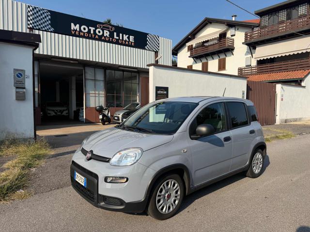 Fiat Panda 1.0 FireFly S&S Hybrid City Life, del 2023, 40.000 km, in vendita a Segrate (MI)