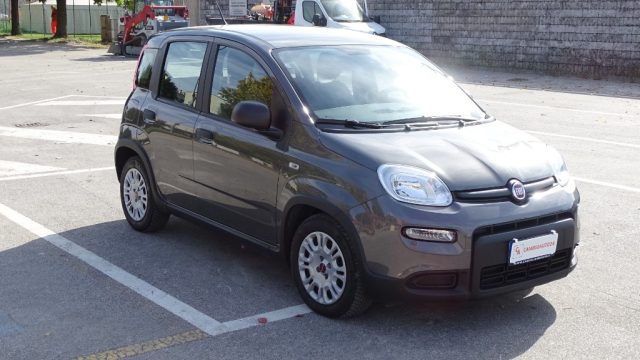 Fiat Panda Hybrid 1.000cc, 70 cv, FireFly S&S, Garanzia.. - foto 2 di 4