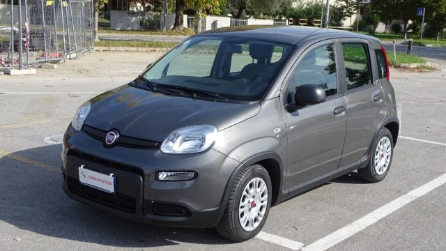 Fiat Panda Hybrid 1.000cc, 70 cv, FireFly S&S, Garanzia.. - foto 3 di 4