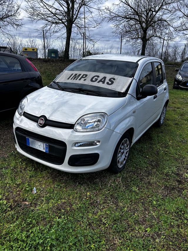Fiat Panda 1.2 Easy usato a BUCINE
