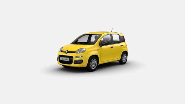 Fiat Panda 1.0 FireFly S&S Hybrid - foto 2 di 2