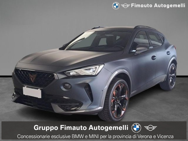 CUPRA Formentor 2.0 TDI 4Drive DSG usato a VERONA