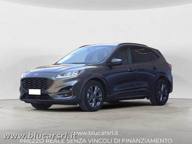Ford Kuga 2.0 EcoBlue 120CV 2WD ST-Line Auto - foto 3 di 4