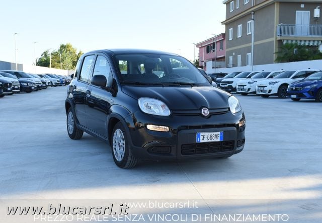Fiat Panda 1.0 FireFly 70cv S&S Hybrid, del 2023, 68.000 km, in vendita a Marcianise (CE)