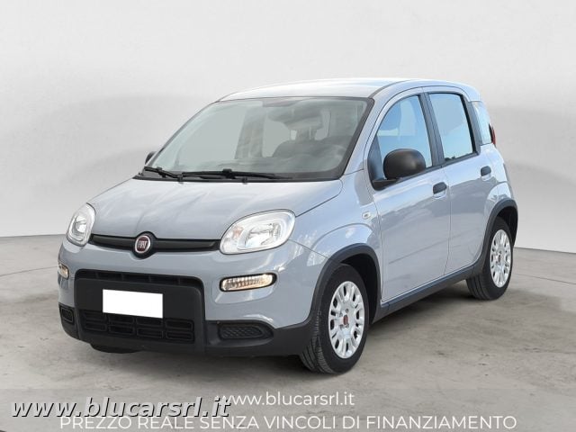 Fiat Panda 1.0 FireFly 70cv S&S Hybrid, del 2023, 45.558 km, in vendita a Marcianise (CE)