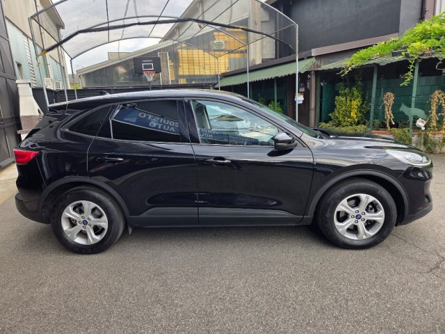Ford Kuga 1.5 EcoBlue 120 CV aut. 2WD Connect - foto 4 di 4